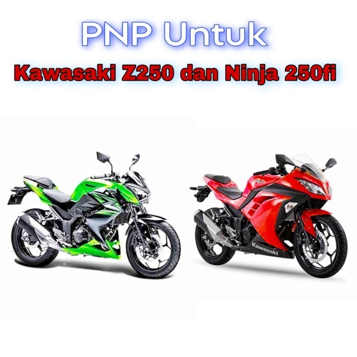 READY Dinamo Custom PNP Ninja 250Fi / Z250