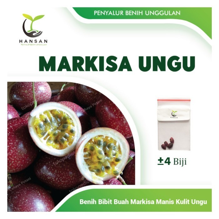 4 Bibit Buah Markisa Ungu Manis Super Benih Tanaman Buah Markisa Madu