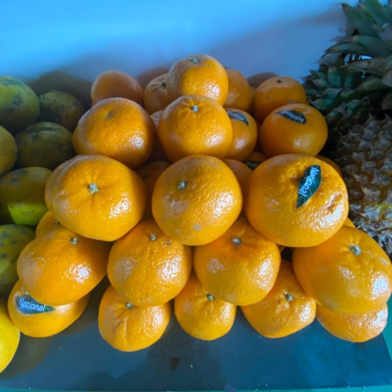 

Buah kino