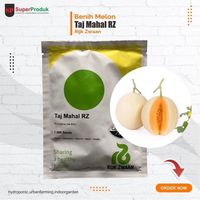 New Benih Melon Taj mahal tajmahal RZ 1000 seed