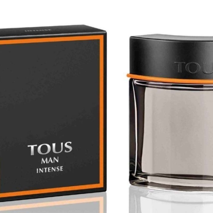 Parfum Tous Man 100Ml