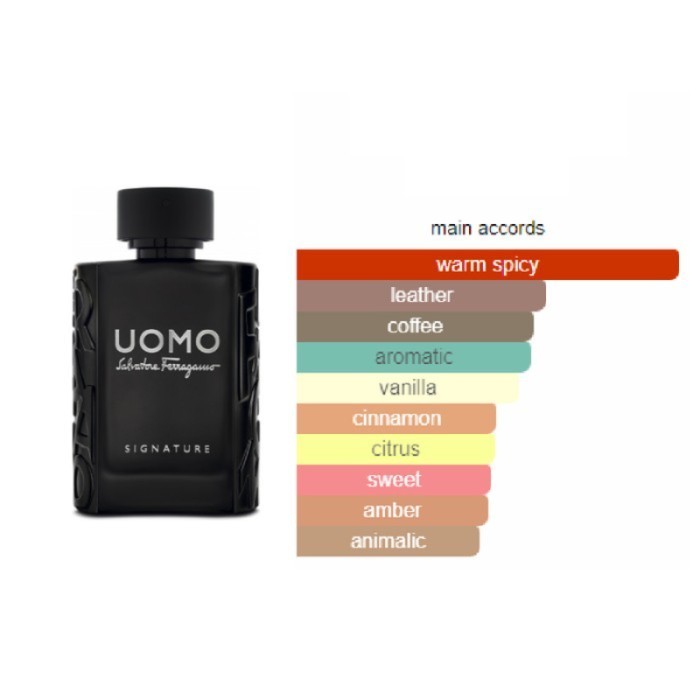 Salvatore Ferragamo Uomo Signature Man 100 Ml