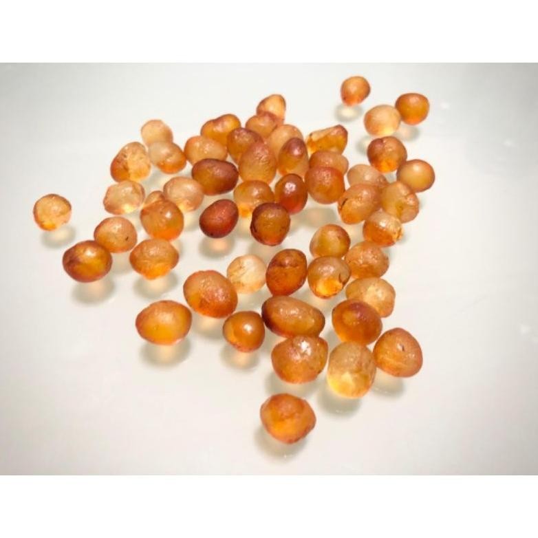 

Golden Pearl Peach Gum /Tao Jiao (Kecil/Besar) 500G Grade Aaa Super Bersih 97% Terbaik