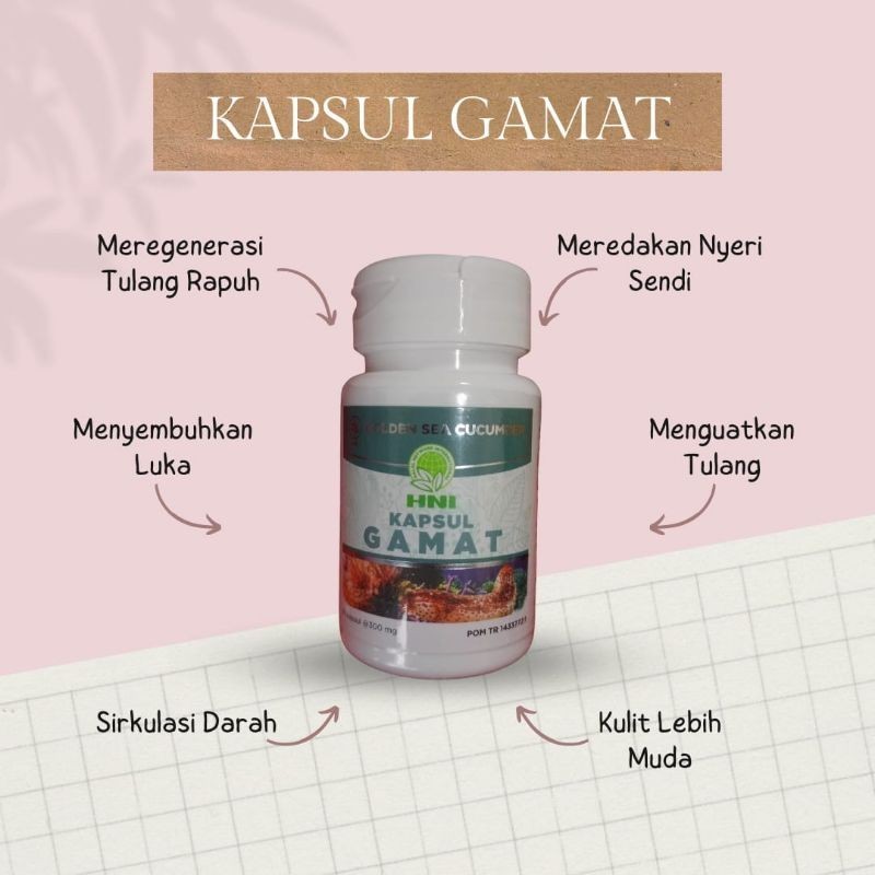 Kapsul Gamat HNI