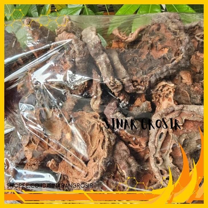 

SARANG SEMUT PAPUA ASLI 100GR SUPER A