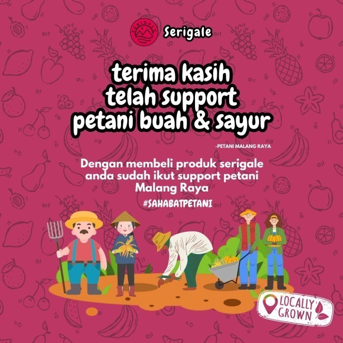 

KOMPLIT Keripik Sayur Mix Gurih I 1000 ML I Brokoli Paprika Bombay SERIGALE