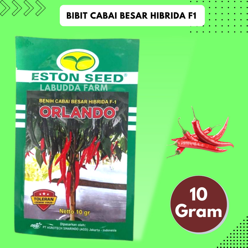 Bibit Cabe Merah Besar - Cabe Besar Orlando F1 10gr Tahan Virus Original Pabrik Eston Seed - Benih C