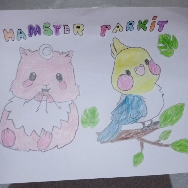 

gambar binatang gambar hamster gambar burung gambar bagus gambar viral gambar anak