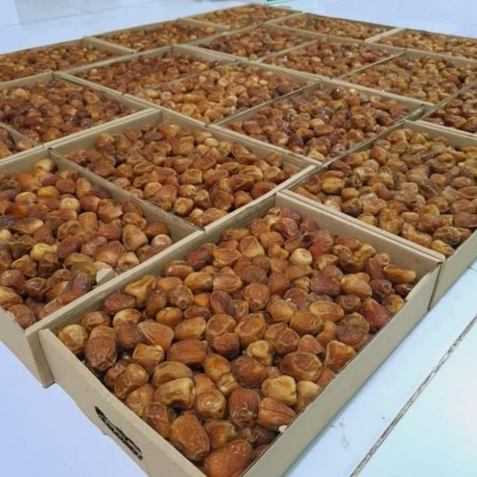 

kurma Sukari/kurma madu/kurma raja 3kg P67JM