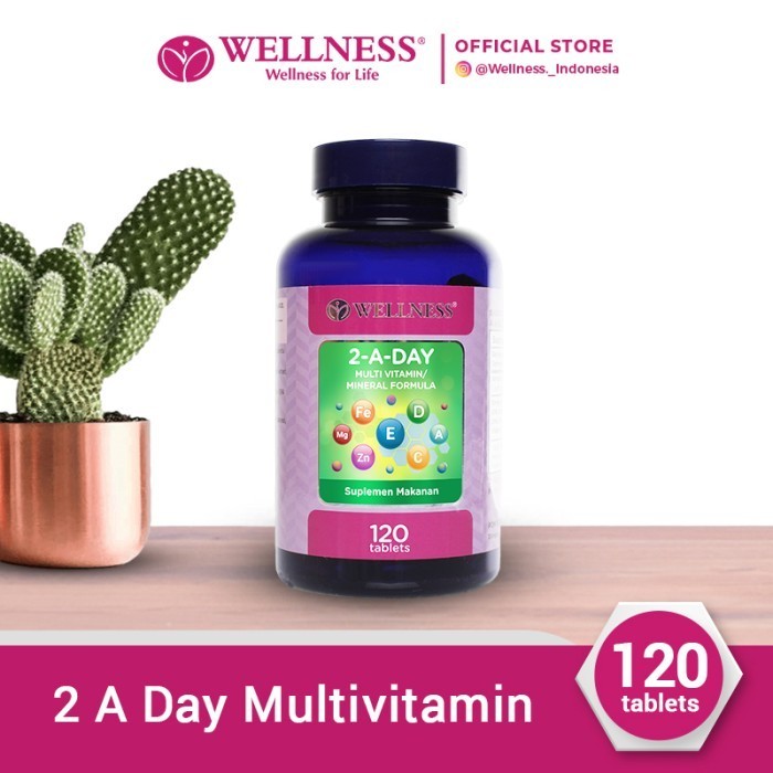 Wellness Multivitamin/Mineral 2-A-Day [120 Tablets]