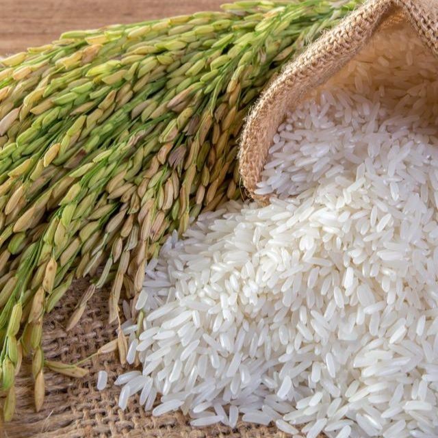 

Victory Seed Beras Putih (Isi 250 Gram)