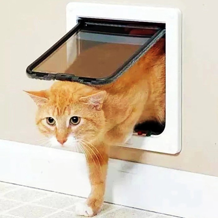 

Baru Pintu Anjing Kecil Kucing Big Cat Small Dog Mate Pet Door Flap