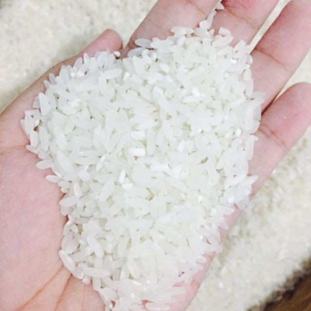 

Victory Seed Beras Putih (Isi 500 Gram)