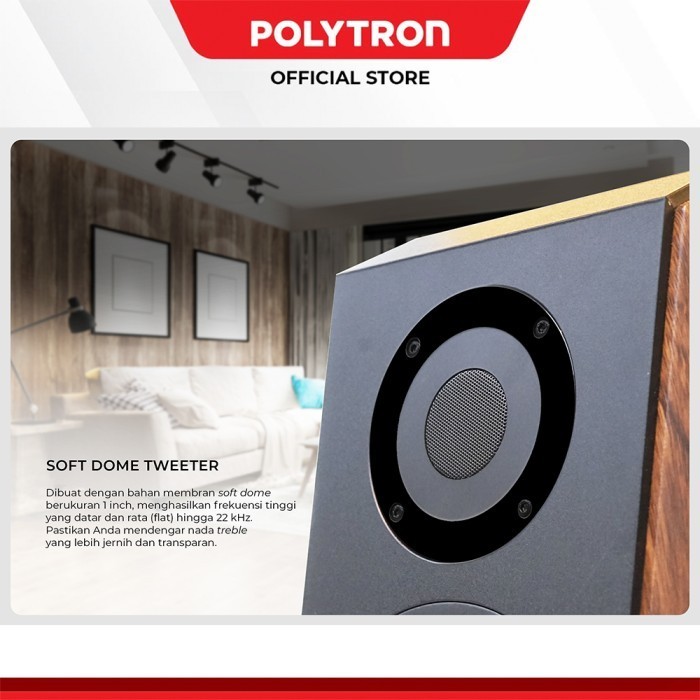 Polytron Hifi Speaker Audivo Phs 6A