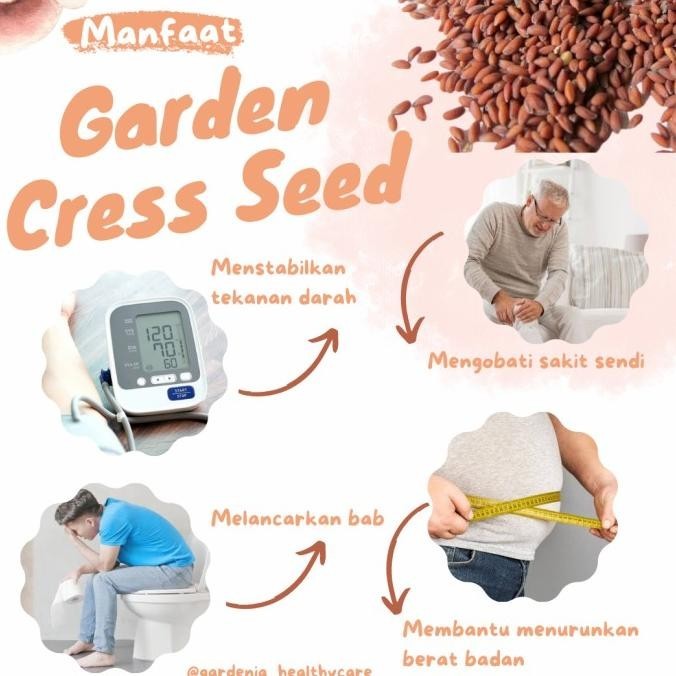 

Garden Cress Sees Grosir - Biji Selasih Merah HE