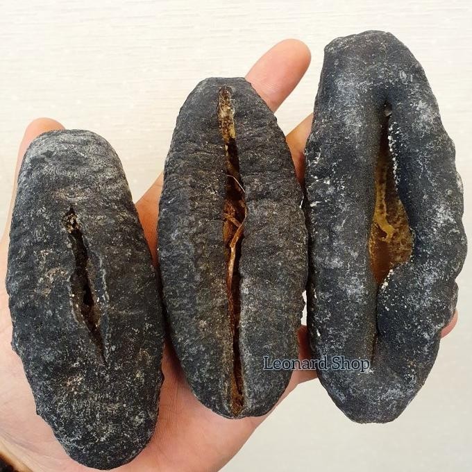 

Haisom Tubosom Hitam Kering Super ( 1 Kg Jd 5 Kg ) Teripang Gajah Susu LA