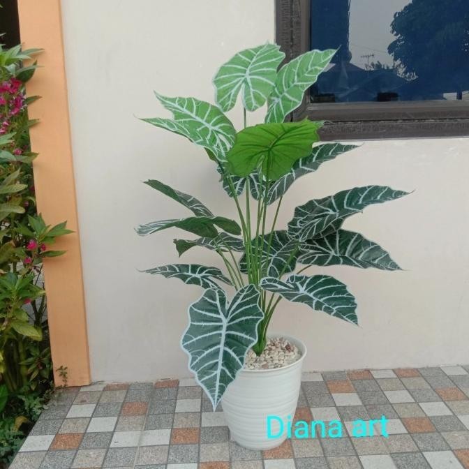 Pohon Hias#Pohon Pisang Hias#Pisang Tiruan/Tanaman Artificial