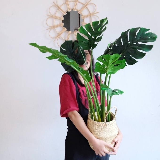 Tanaman Palsu Monstera / Pohon Plastik Latex