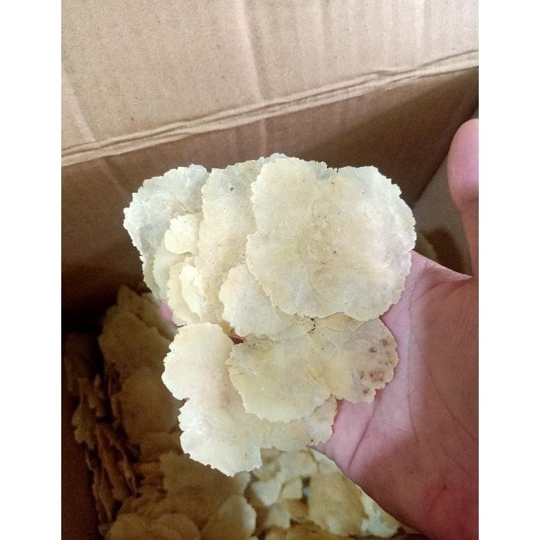 

POI Emping Ceplis Melinjo ASLI!!! 500G Gram Kulon Banten Kualitas Terbaik Tipis Dan Dijamin Mekar Renyah TERLARIS