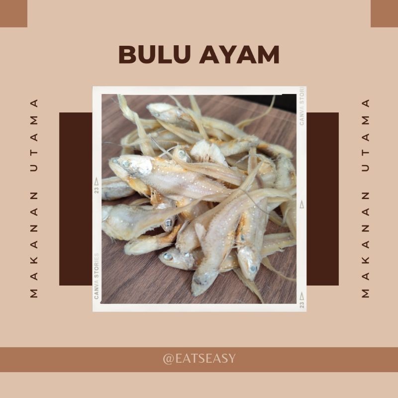 

IKAN ASIN BULU AYAM SUPER 1KG