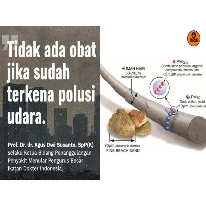 Air Purifier Coway Komgizilva