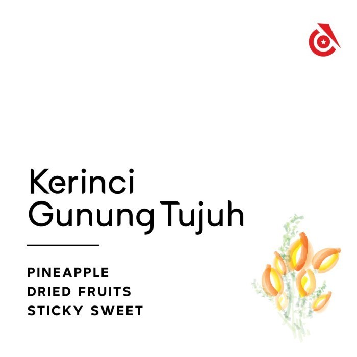 

Kerinci Gunung Tujuh Natural - Instinct Coffee - Biji Kopi