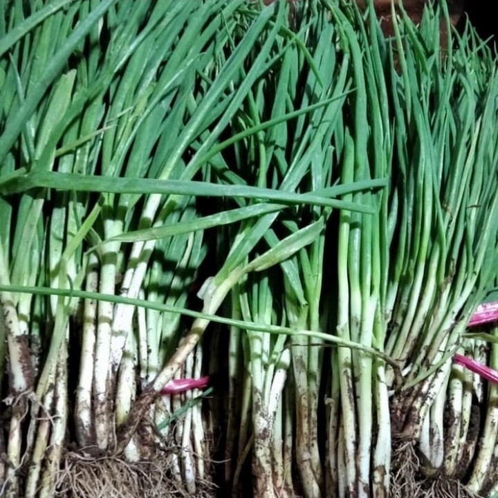 

daun bawang per 1/4kg