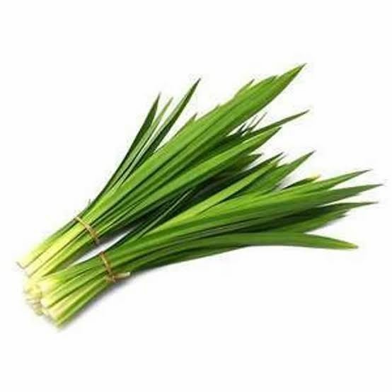 

Daun Pandan Perikat