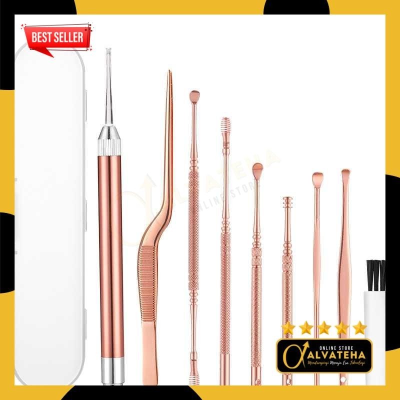 Alat Set Pembersih Telinga Korek Kuping Ear Spoon Tool 9 PCS - BA37