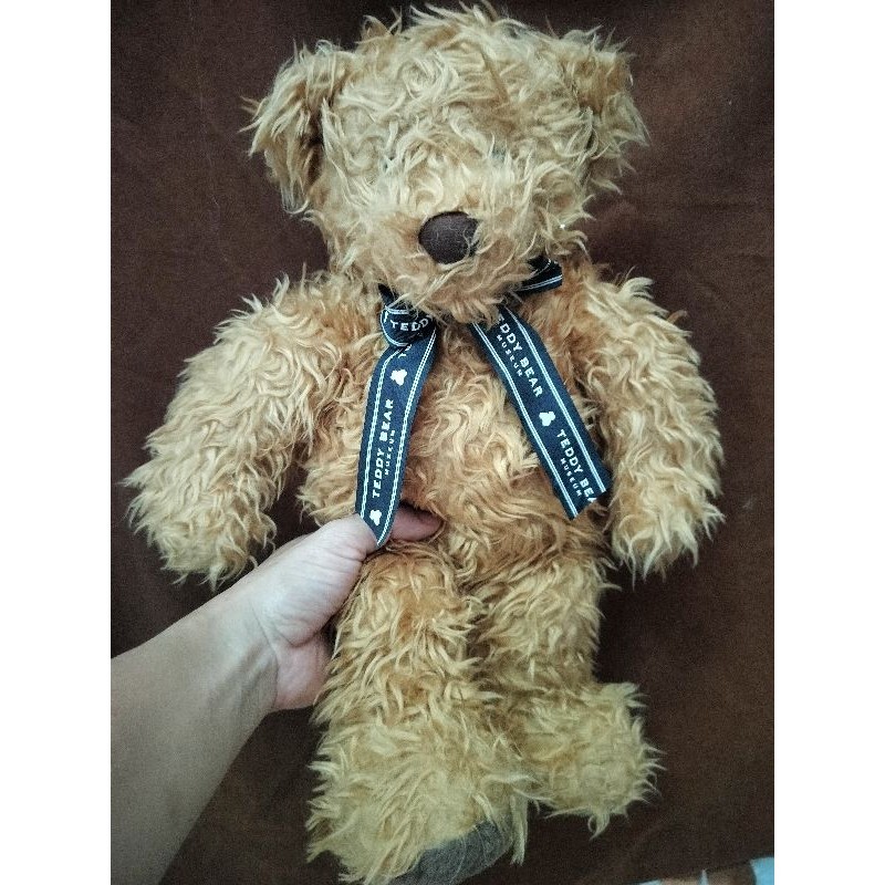 Boneka teddy museum curly