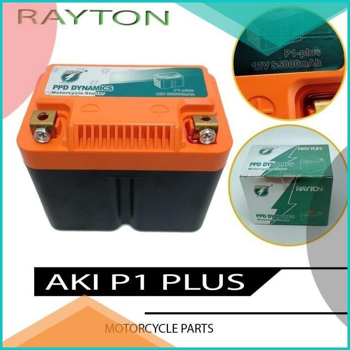 RAYTON Aki Baterai Lithium Iron Phospate LIFEPO4 Recharge Premium Aki