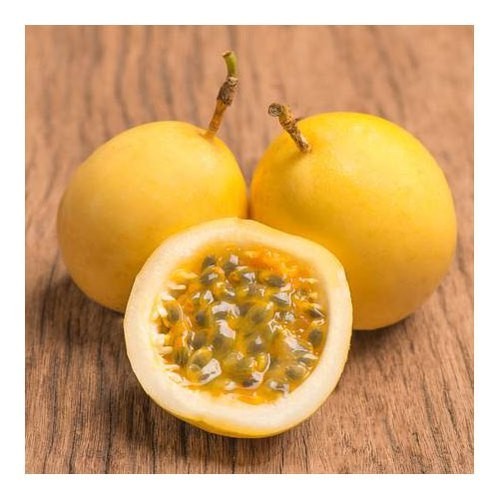 Seed Center - Bibit Benih Buah Konyal Kuning (10 Seeds)