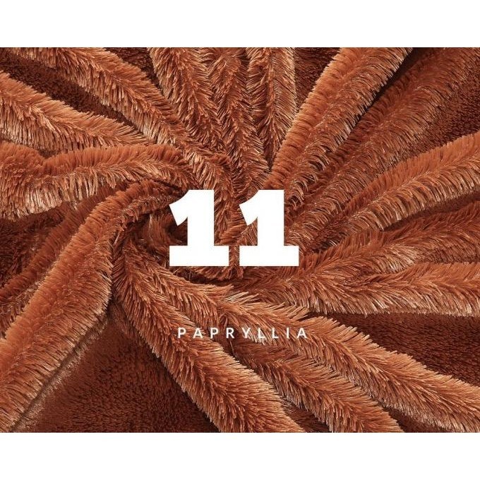 [Newmodel] Karpet Bulu Rasfur Karpet Lantai 200X150Cm + Busa Tebal Fithakey