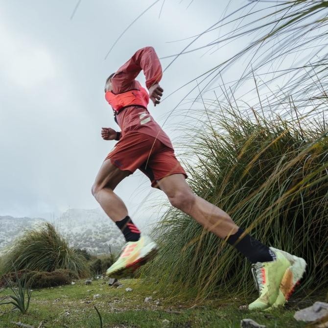 Celana lari trail Adidas Terrex Agravic Short Original Sale 1.100.000+