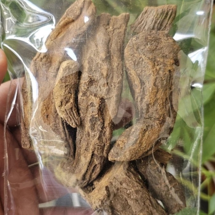 

Klembak / Kelembak Kering 500Gr / 1Kg Original