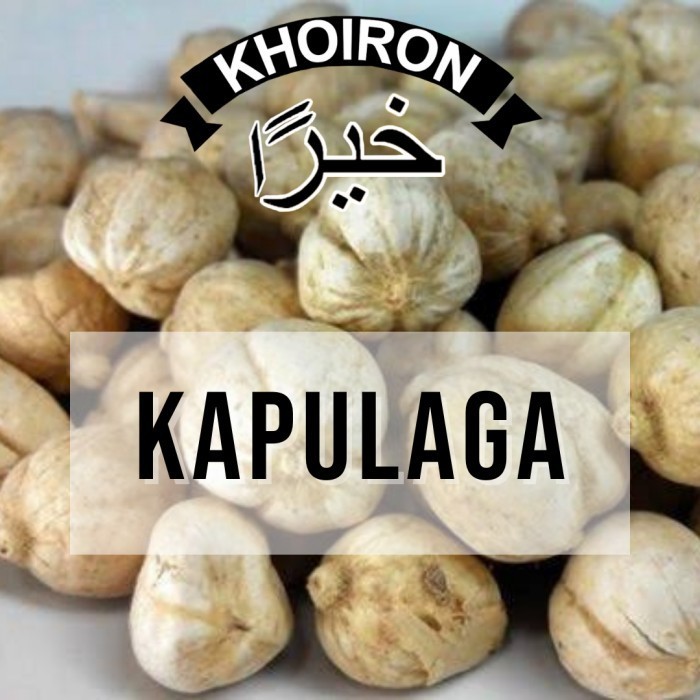 

Kapulaga / Kapulogo / Kapol Premium Quality (Sortir & Blower)