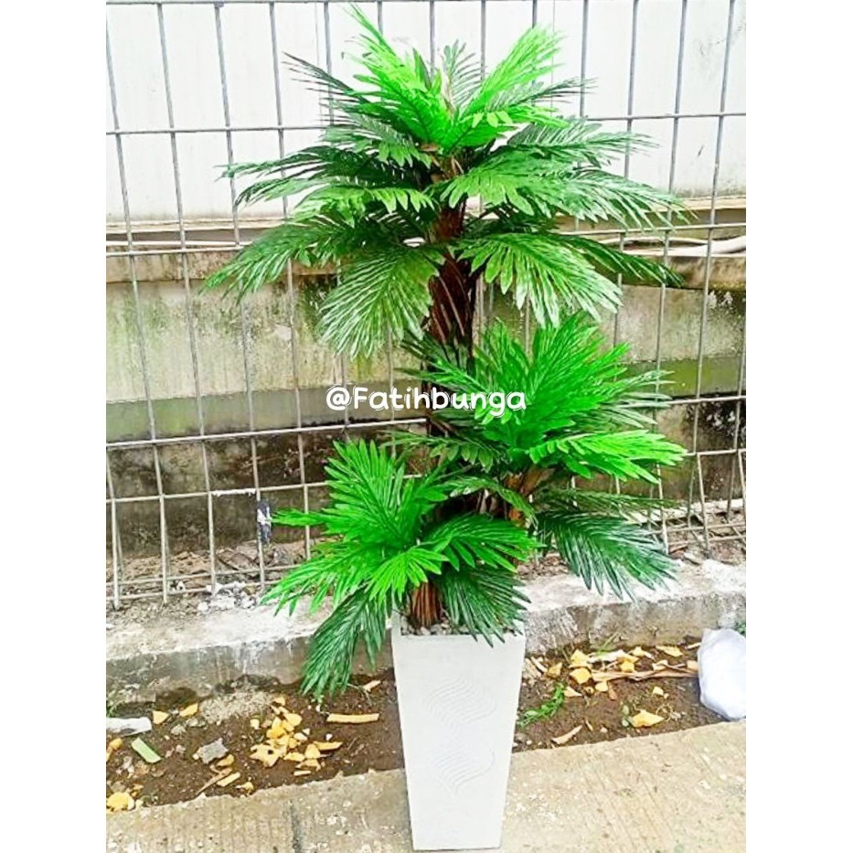 Pohon Palem Kurma/Pohon Palem Kurma Hias/Pohon Palem Kurma Plastik