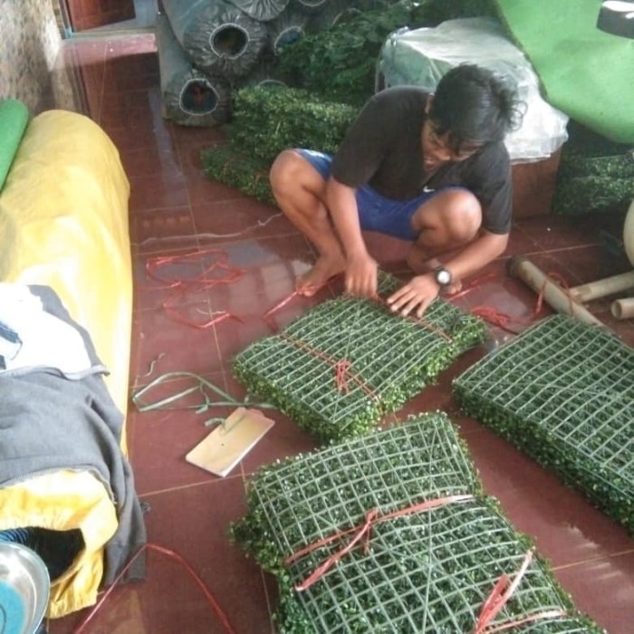 Tanaman Dolar Sintetis,Tanaman Rambat Sintetis Terlaris