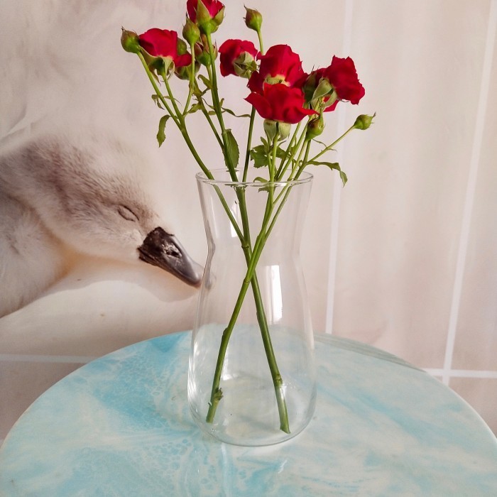 Vas Kaca Tinggi 20 Cm / Vas Bunga Kaca