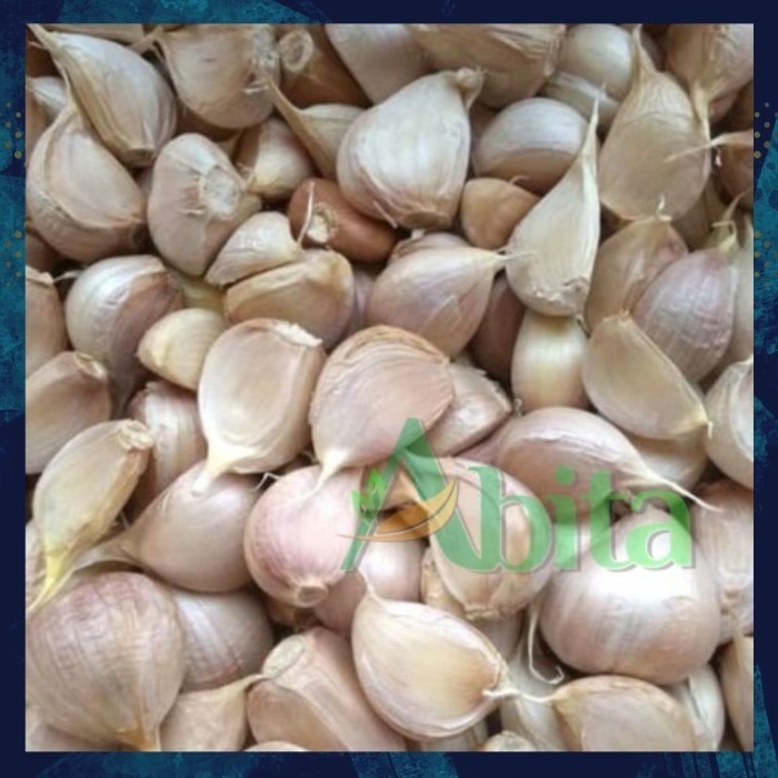 

BS130 Bumbu Bahan Masakan Bawang Putih Kating Bersih 1 Kg TERMURAH
