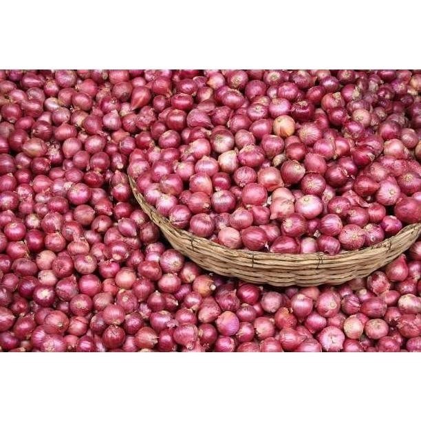 

Bawang Merah Besar Sedang Super Kering 1/2Kg Fresh Dari Petani