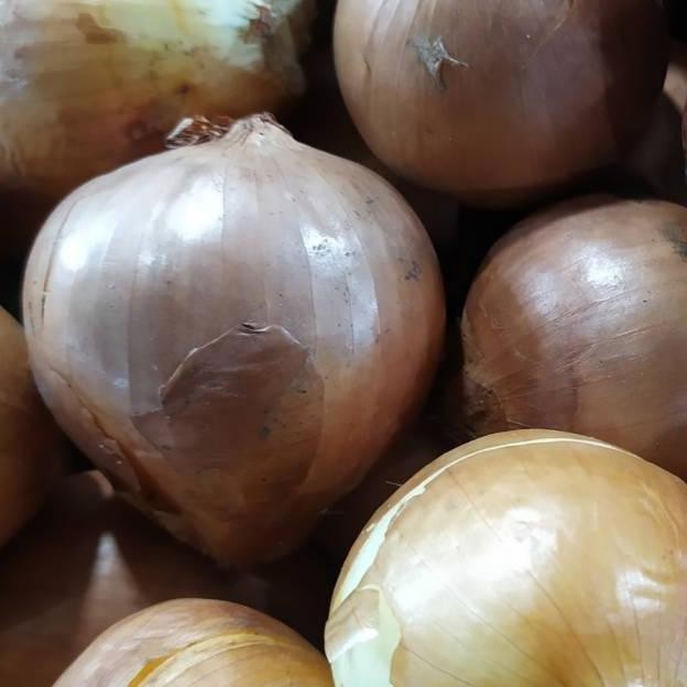 

Bawang Bombay /500 Gram