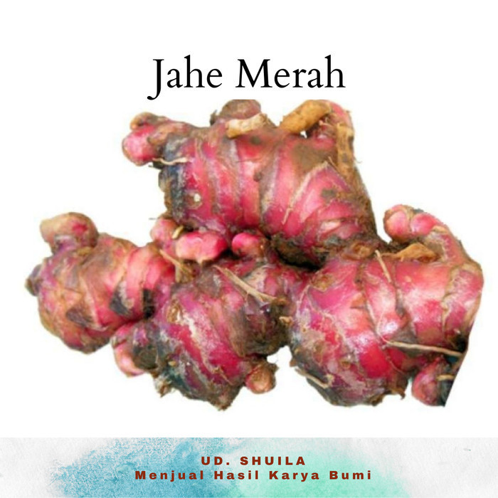 

Jahe Merah 1 Kg