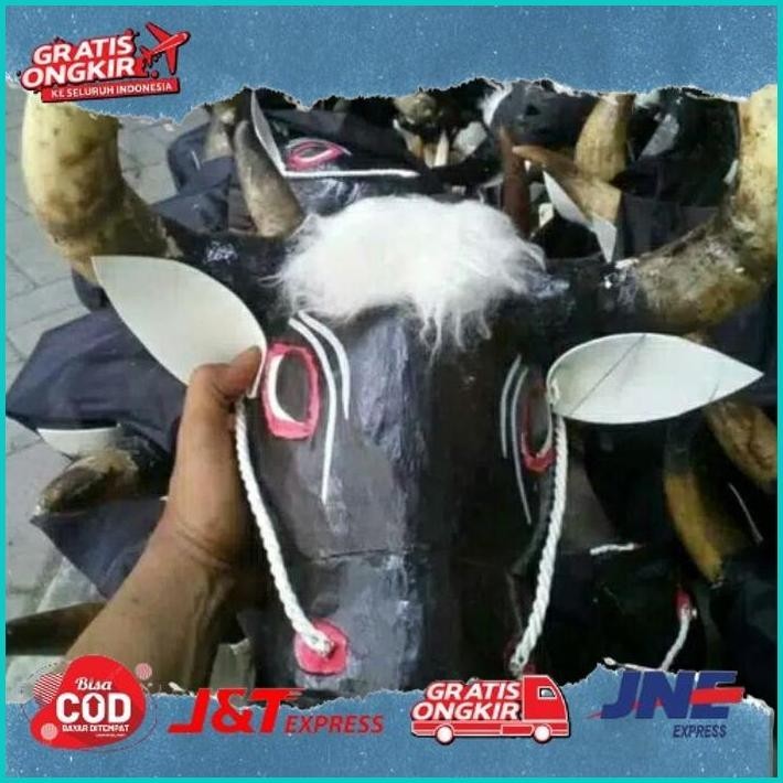 Bantengan Tanduk Asli Jaranan Banteng Jaranan