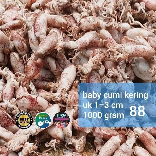 

ikan asin baby cumi / cumi rebus kering 88% 1kg