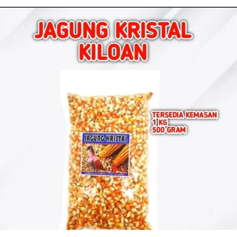 

JAGUNG KRISTAL PAKAN BURUNG MERPATI DARA DENGAN KEMASAN