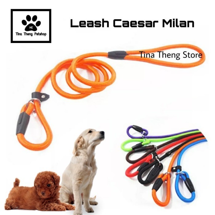 TALI ANJING CESAR MILAN TALI TUNTUN ANJING SLIP LEAD
