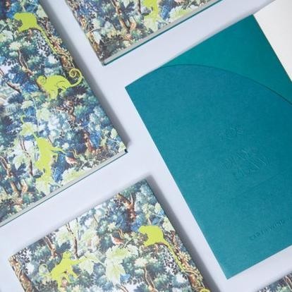 

Special Edition Blank Journal