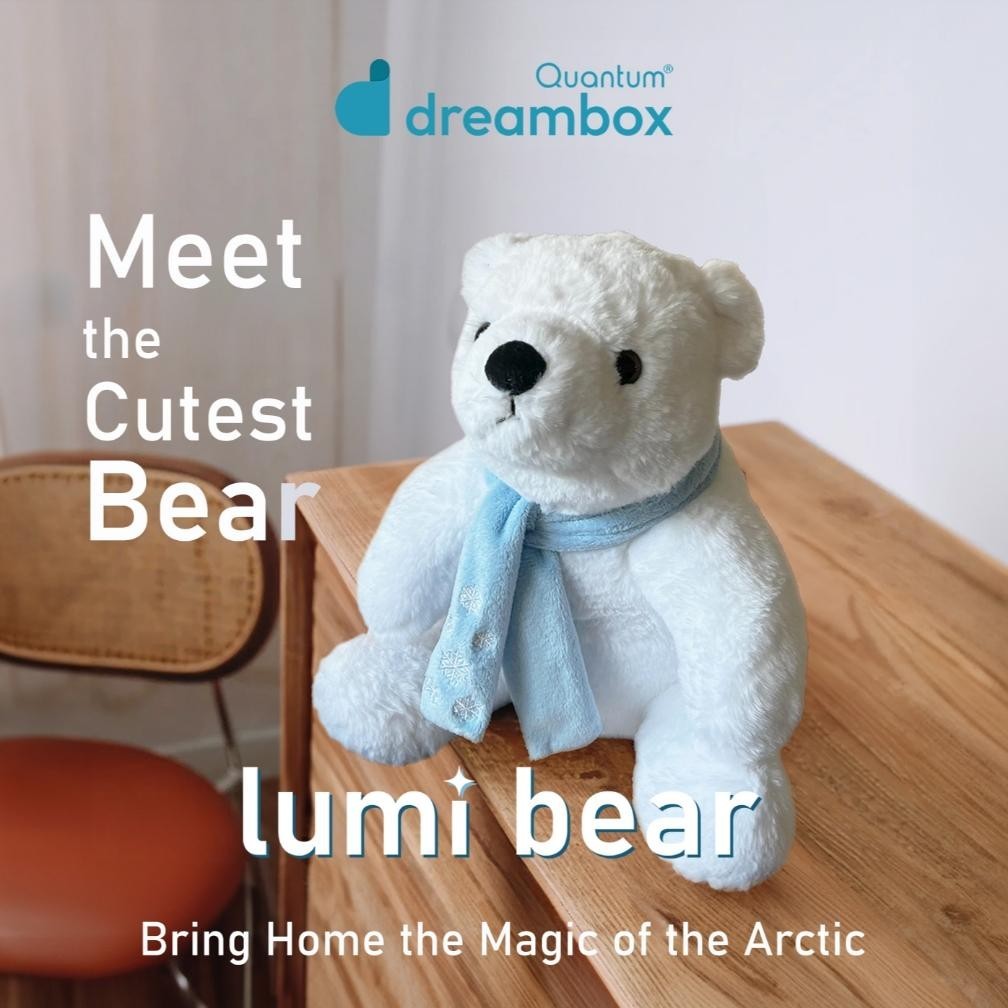 Quantum Dreambox Lumi Bear / Boneka BeruangKutub