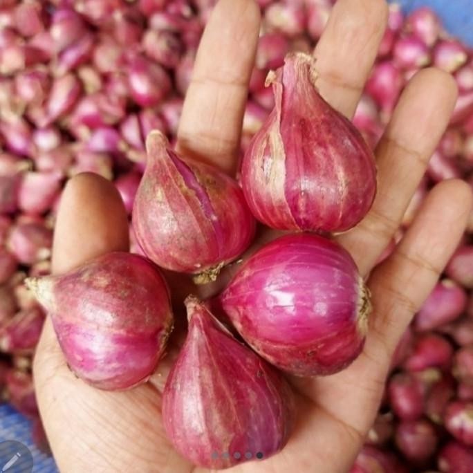

Bawang merah brebes super 1kg.